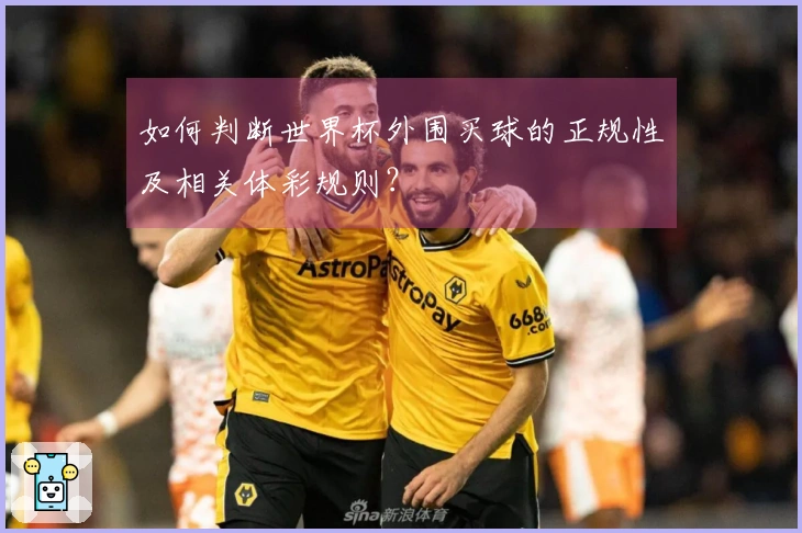 如何判断世界杯外围买球的正规性及相关体彩规则？