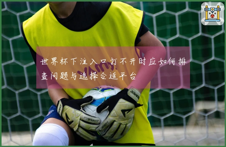 世界杯下注入口打不开时应如何排查问题与选择合适平台