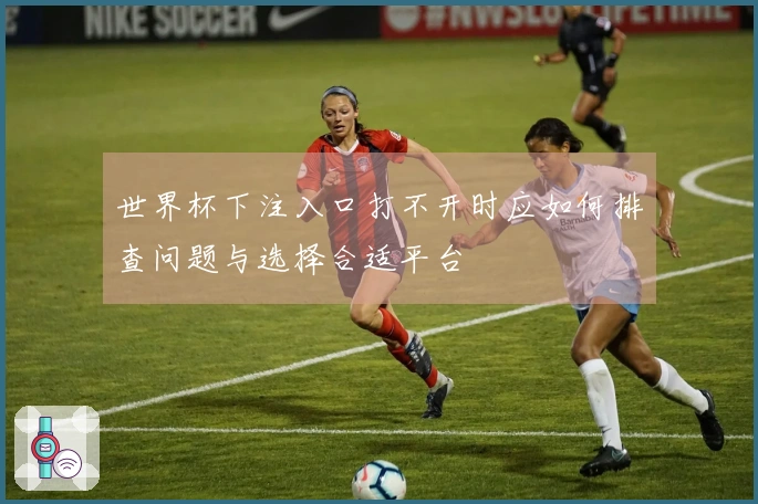 世界杯下注入口打不开时应如何排查问题与选择合适平台