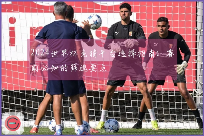 2024世界杯竞猜平台选择指南：赛前必知的筛选要点